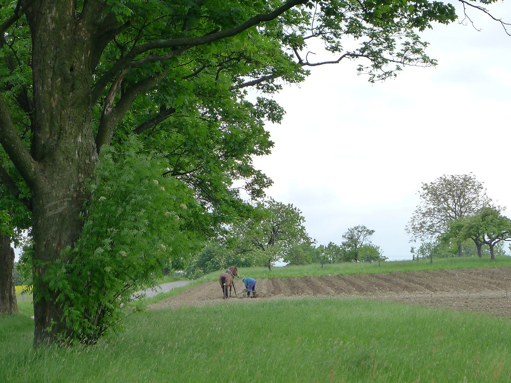 PavlaCzechVisit 203